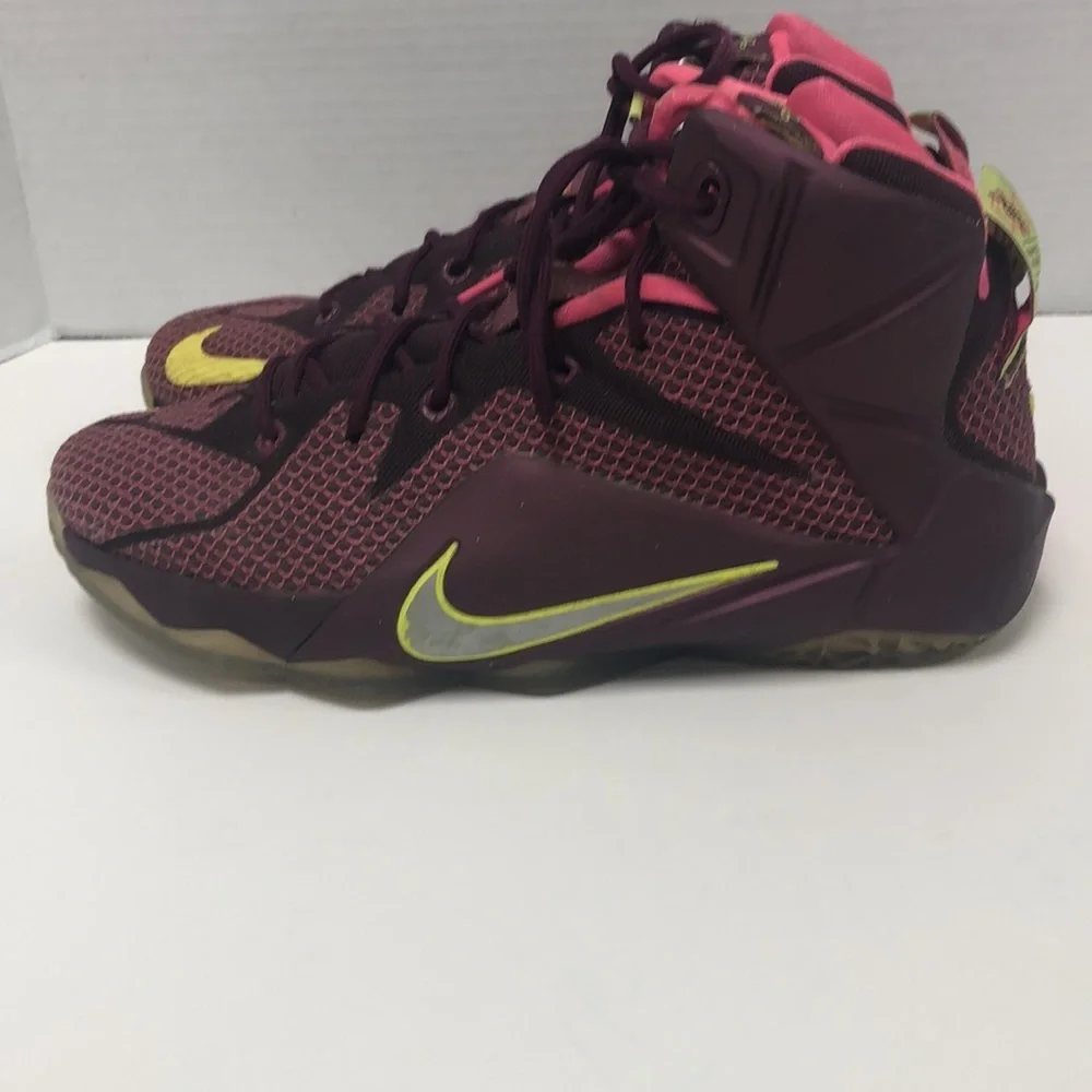 Nike LeBron James sneakers